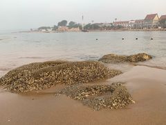 -老虎石海上公园