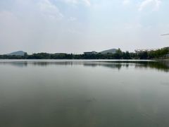 -羊山湖公园