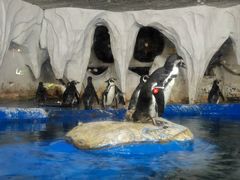 -太平洋海底世界