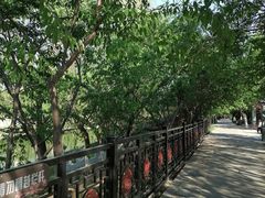 -桃花堤公园