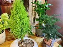 -森野花艺培训·企业团建活动沙龙