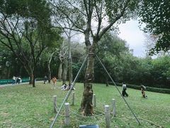 -深圳国际园林花卉博览园