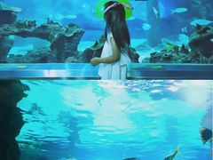 -石家庄海洋公园