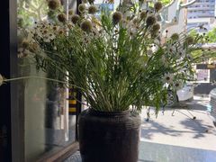 -Apollo·西班牙小酒馆(安福路店)