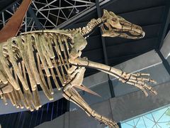 -湖南省地质博物馆