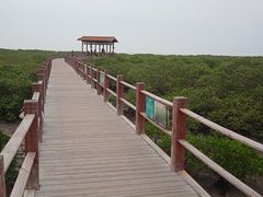 -北海金海湾红树林生态旅游区