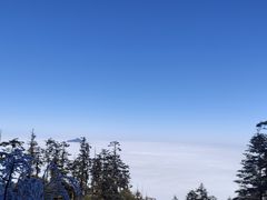 -瓦屋山景区