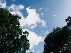 -九龙公园