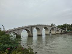 -万绿园