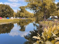 -上海共青森林公园