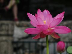 -北海公园