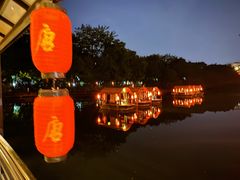 -侨美·唐荔园·40年地道粤菜