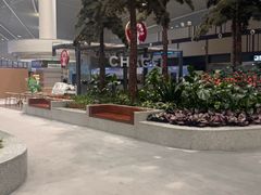 -青岛胶东国际机场