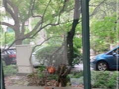 -顽皮家族宠物医院(浦东北园路分院)