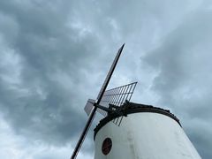 -济州森林小火车生态公园