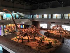 -自贡恐龙博物馆