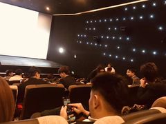 -深影国际影城(学院南路店CGS中国巨幕店)