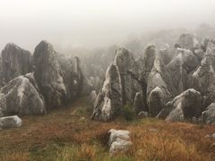 -千岛湖石林