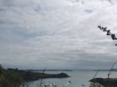 -怀希基岛