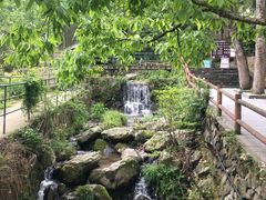 -藏龙百瀑风景区