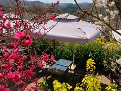 -桃源山庄·水蜜桃采摘·柴火鸡·烧烤团建(龙泉山店)