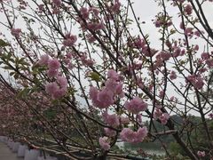 -观澜湖生态运动公社