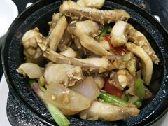 -豪华脆肉鲩