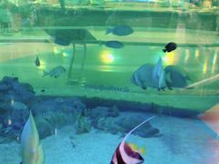 -尚泰清迈机场购物中心