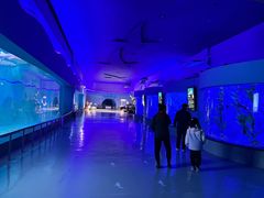 -泉城欧乐堡海洋极地世界
