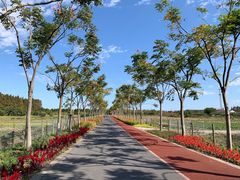 -上海长兴岛郊野公园