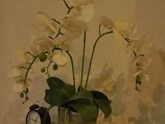 -汤臣Luck SPA按摩采耳(海派理疗公馆)