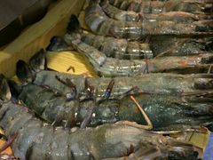 -熊出没日本烧肉放题