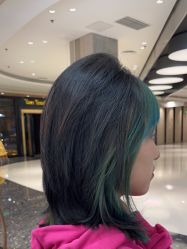 -艺之剪