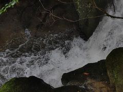 -鹿院坪生态旅游景区