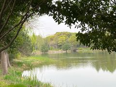 -尚贤河湿地