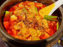 -陈麻婆豆腐总店
