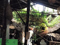 -Jungle Kitchen