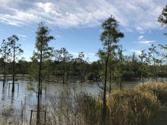 -上海长兴岛郊野公园