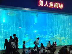 -福州罗源湾海洋世界旅游区