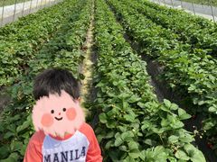 -小鱼草莓采摘园农家乐·小鱼餐厅
