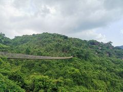 -亚龙湾热带天堂森林公园