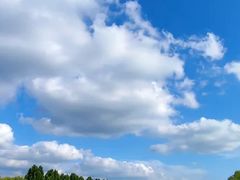 -敕勒川草原