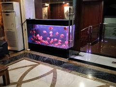 -尤雅养生·影院足道·SPA(金沙江路店)