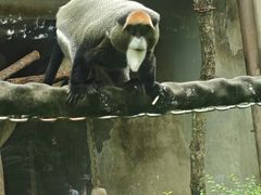 -成都动物园