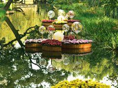 -上海共青森林公园