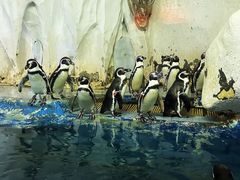 -太平洋海底世界