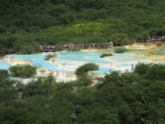 -黄龙山原始森林景区