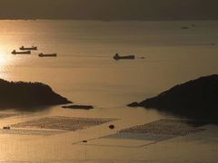 -北岐滩涂