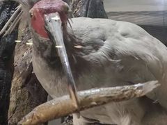 -下渚湖国家湿地公园科普馆