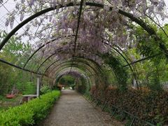 -张公山寨景区
